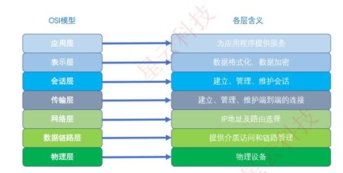 互联网接入及相关服务解析