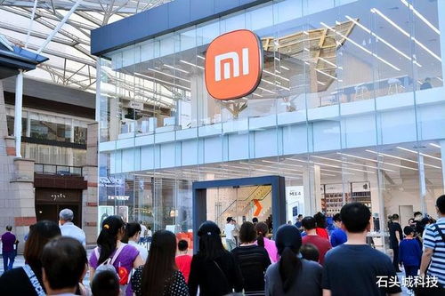 新旧双雄 价格与配置俱佳的手机，助力互联网接入及相关服务