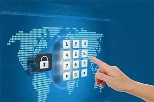 网络时代个人信息安全的刑法保护