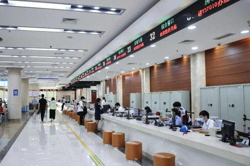 办事更顺心了 南城办事大厅开展政务服务新探索